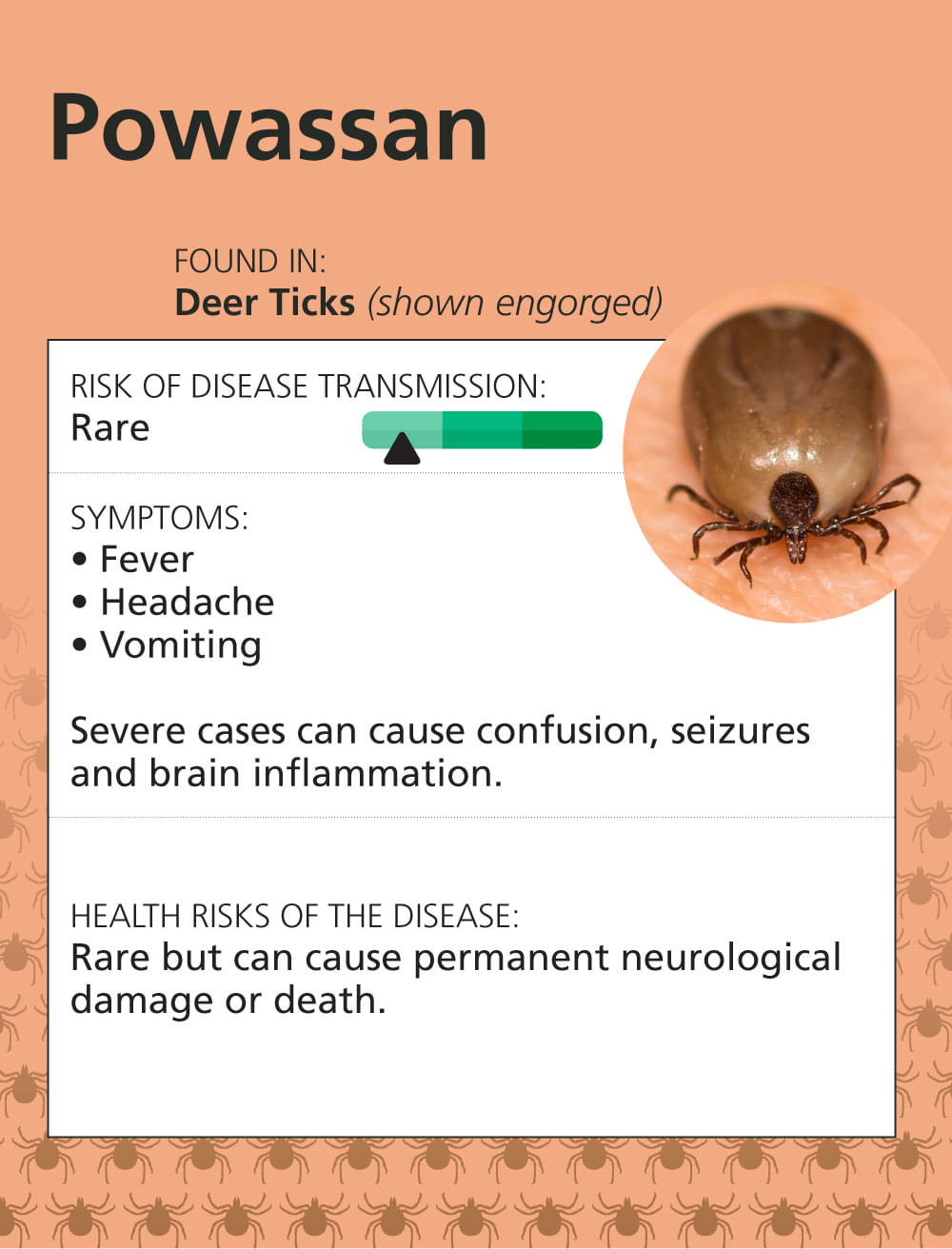 Infographic: Top 7 Tick Illnesses in the Midwest