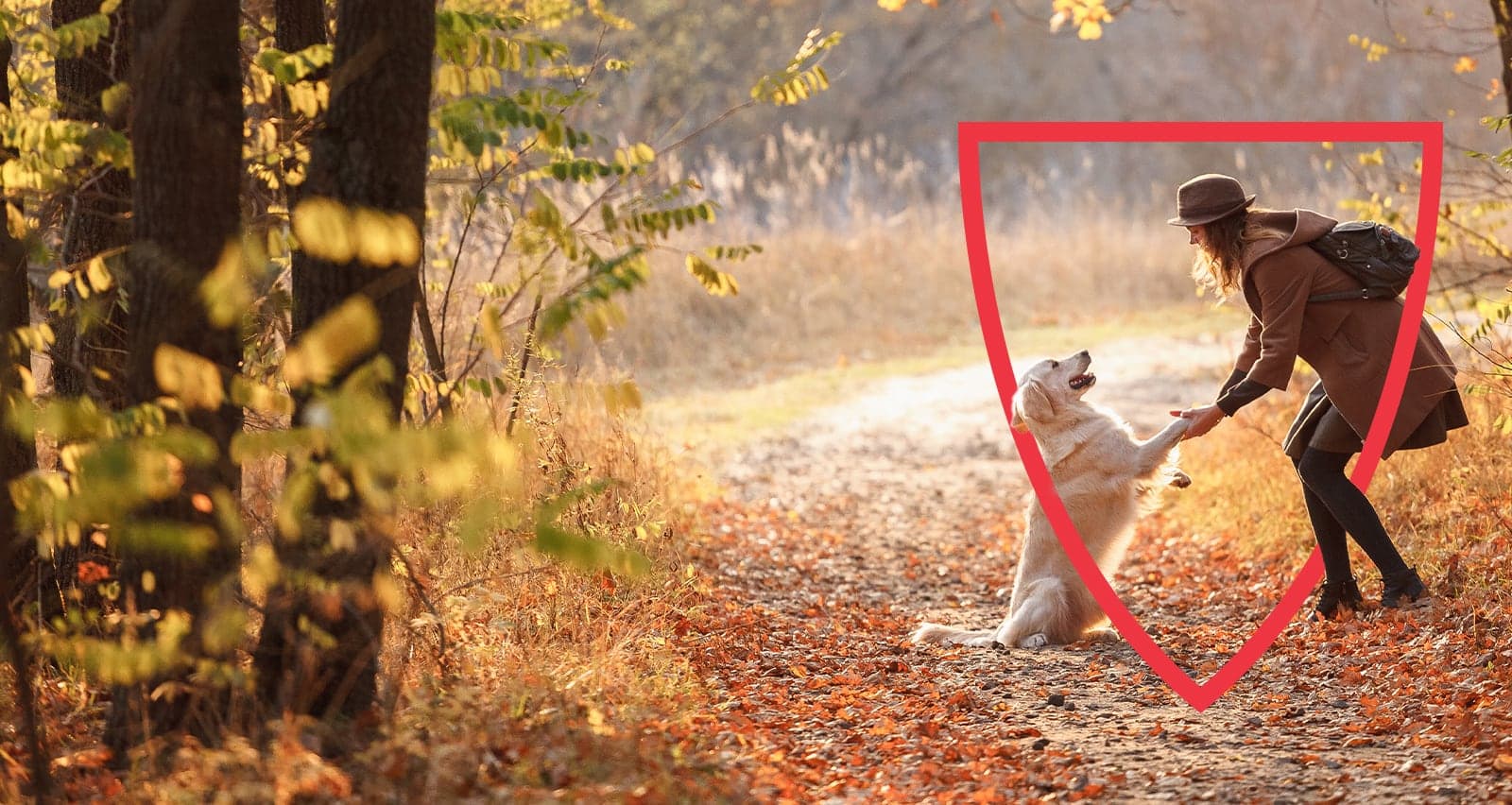 A young woman plays with her dog in a wooded area on a sunny autumnal day