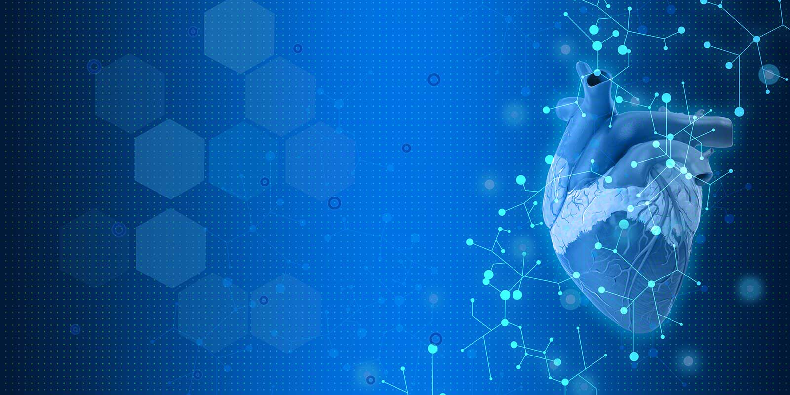 Cardiovascular high tech illustration