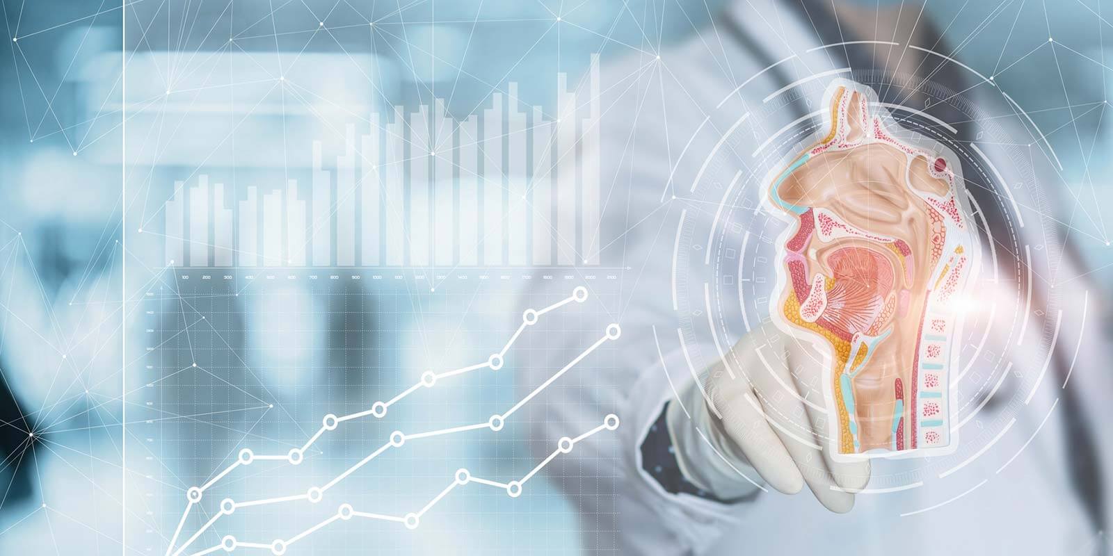 ENT anatomy illustration