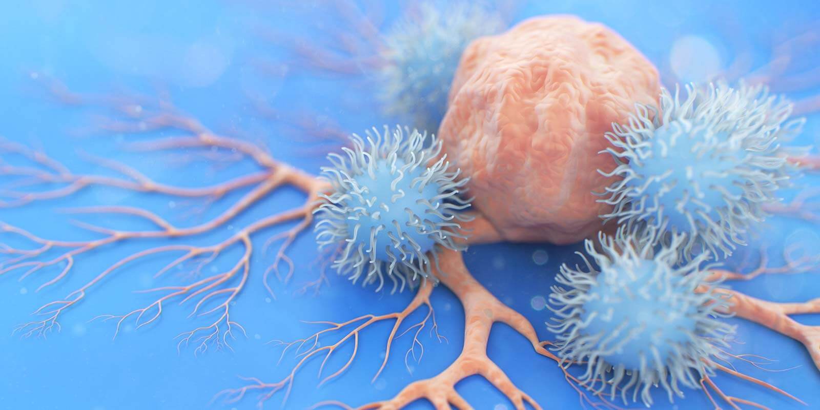 Cancer natural killer cell image