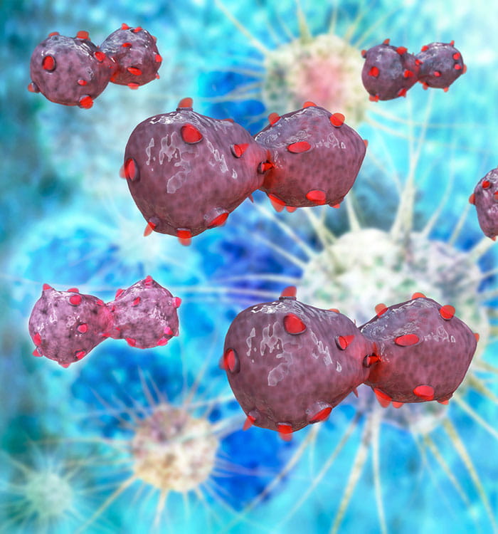 Getty image lung cancer cell division