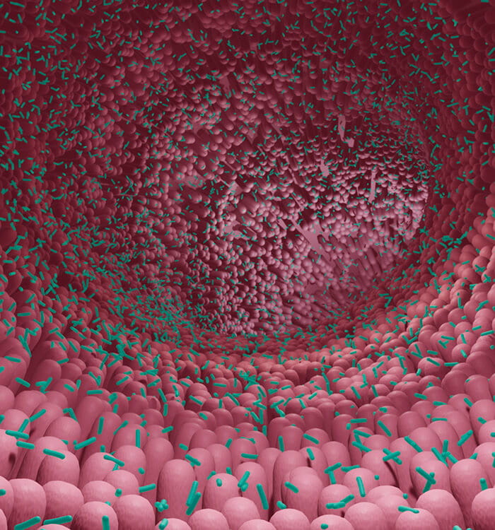 microbiome illustration