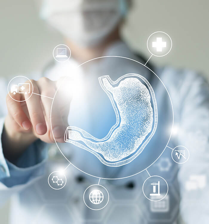 Bariatric Illustration