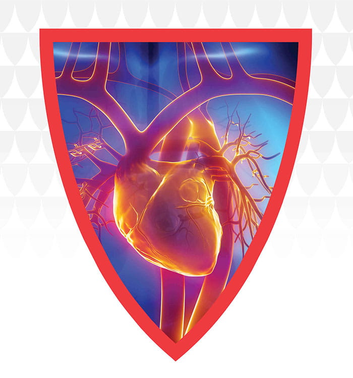 Illustration of heart in UH shield graphic.