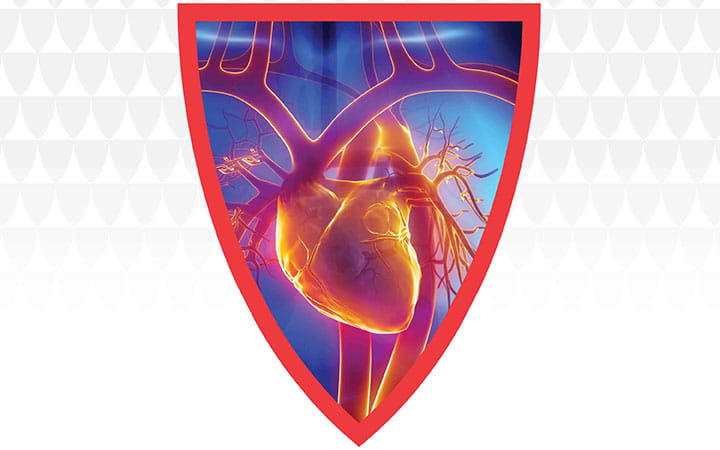 Illustration of heart in UH shield graphic.