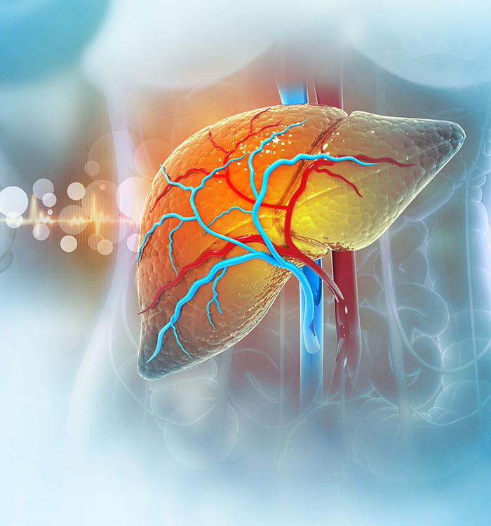 Illustration of the Human liver on scientific background.