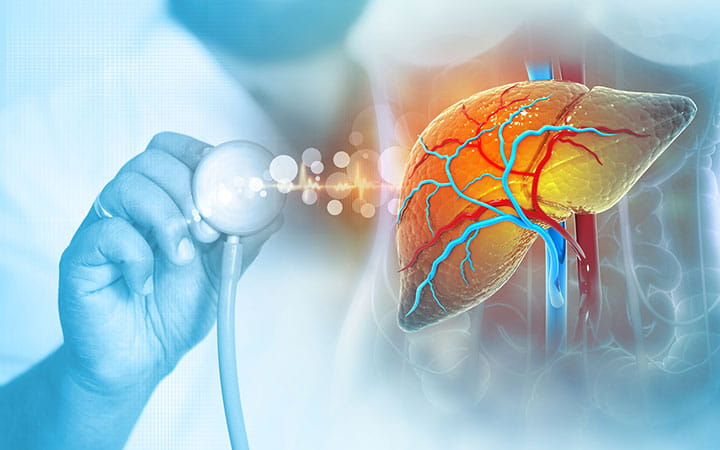 Illustration of Doctor examining the Human liver on scientific background.