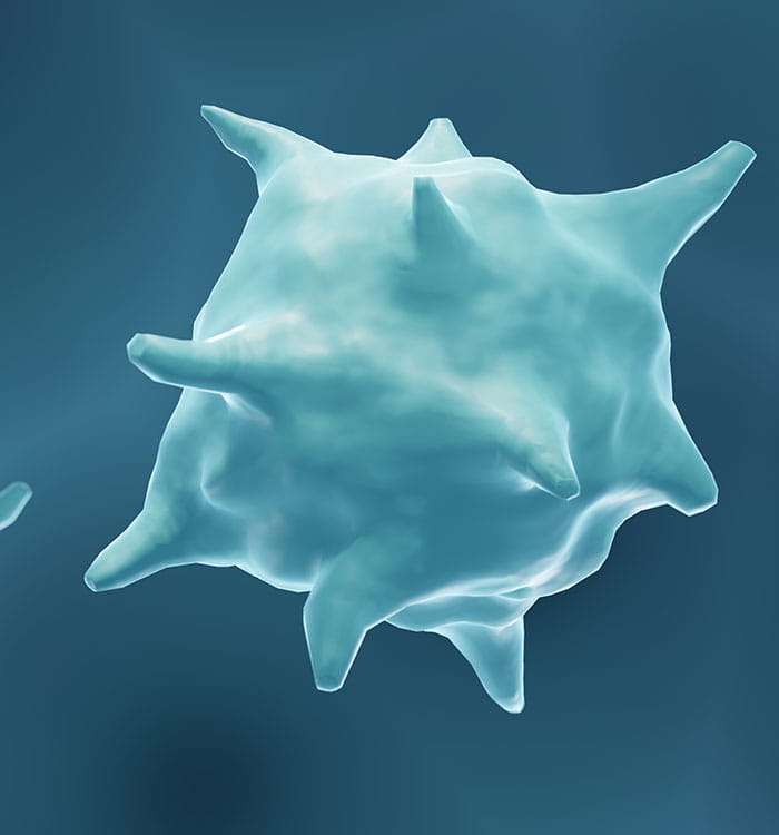 Tuberulosis cells.