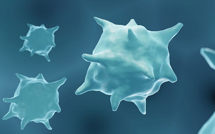 Tuberulosis cells.