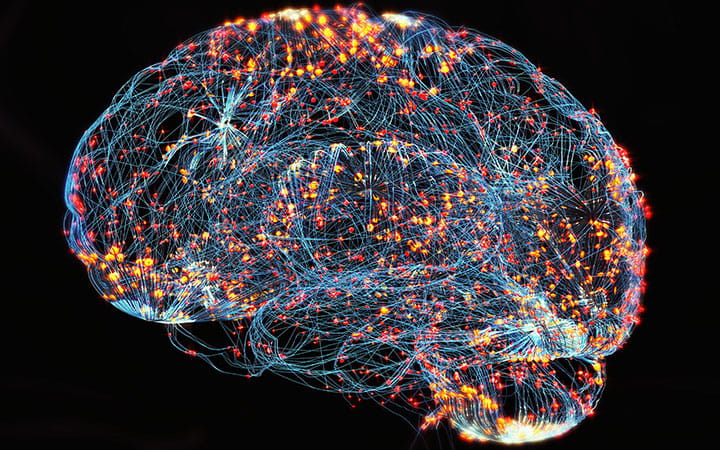 Illustration of brain.