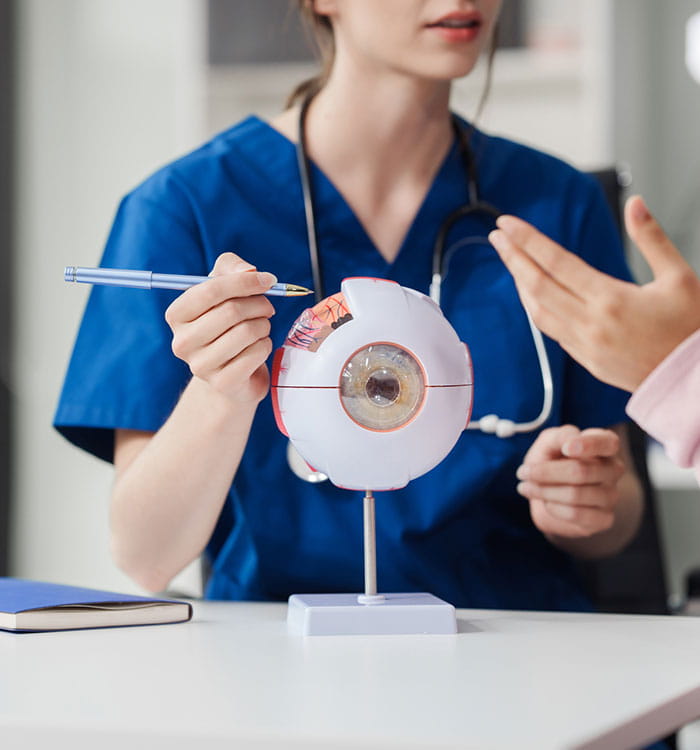 research nurse and another individual looking at eye anatomy modual.