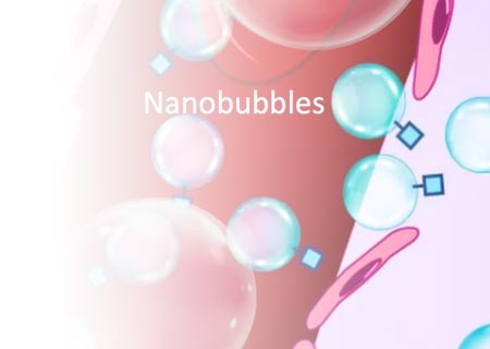 Contrast Enhanced Ultrasound Imaging