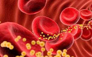 3d illustration showing blood cells with cholesterol