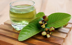 A glass of boiled guava shoots next to fresh guava leaves and roots on a wood side table