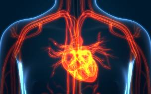 Managing Heart and Vascular Health During COVID-19