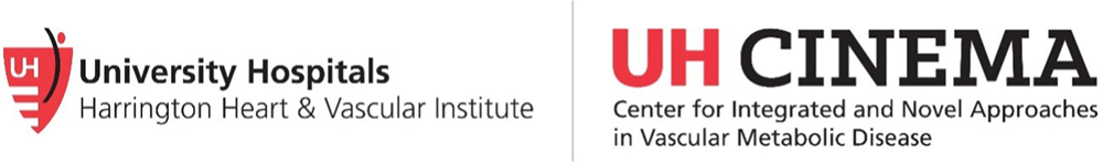 Center for Integrated and Novel Approaches in Vascular-Metabolic Disease