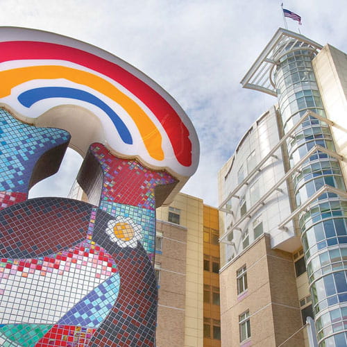 UH Rainbow Babies & Childrens