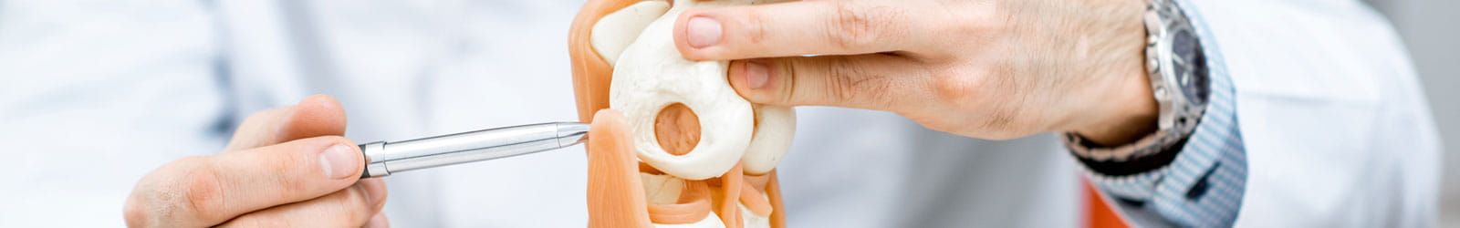 Orthopedic Medical Education