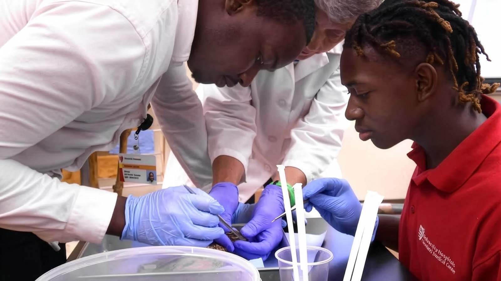 health scholars working together in a group