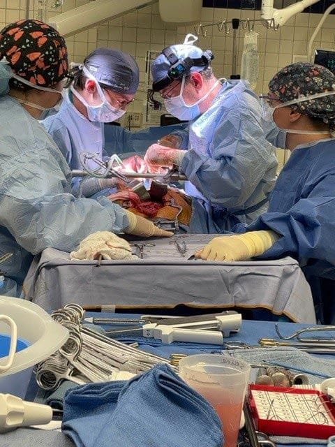 cardiothoracic fellows in surgery