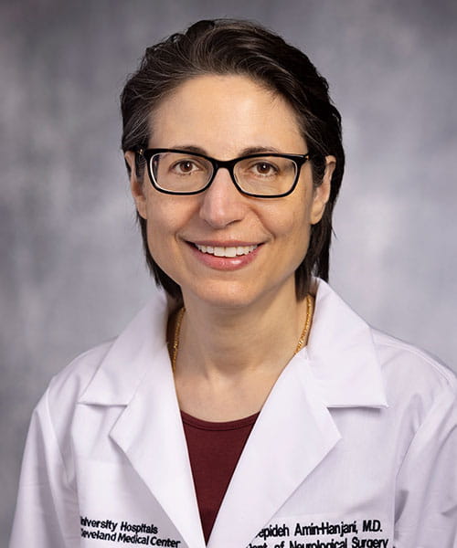 Aepideh Amin-Hanjani, MD