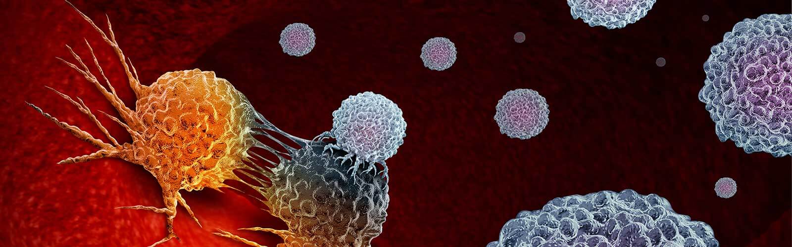 Cancer Immunotherapy