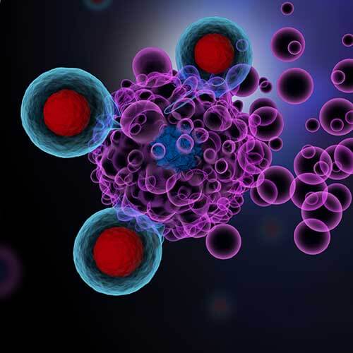 T cells attacking cancer cells