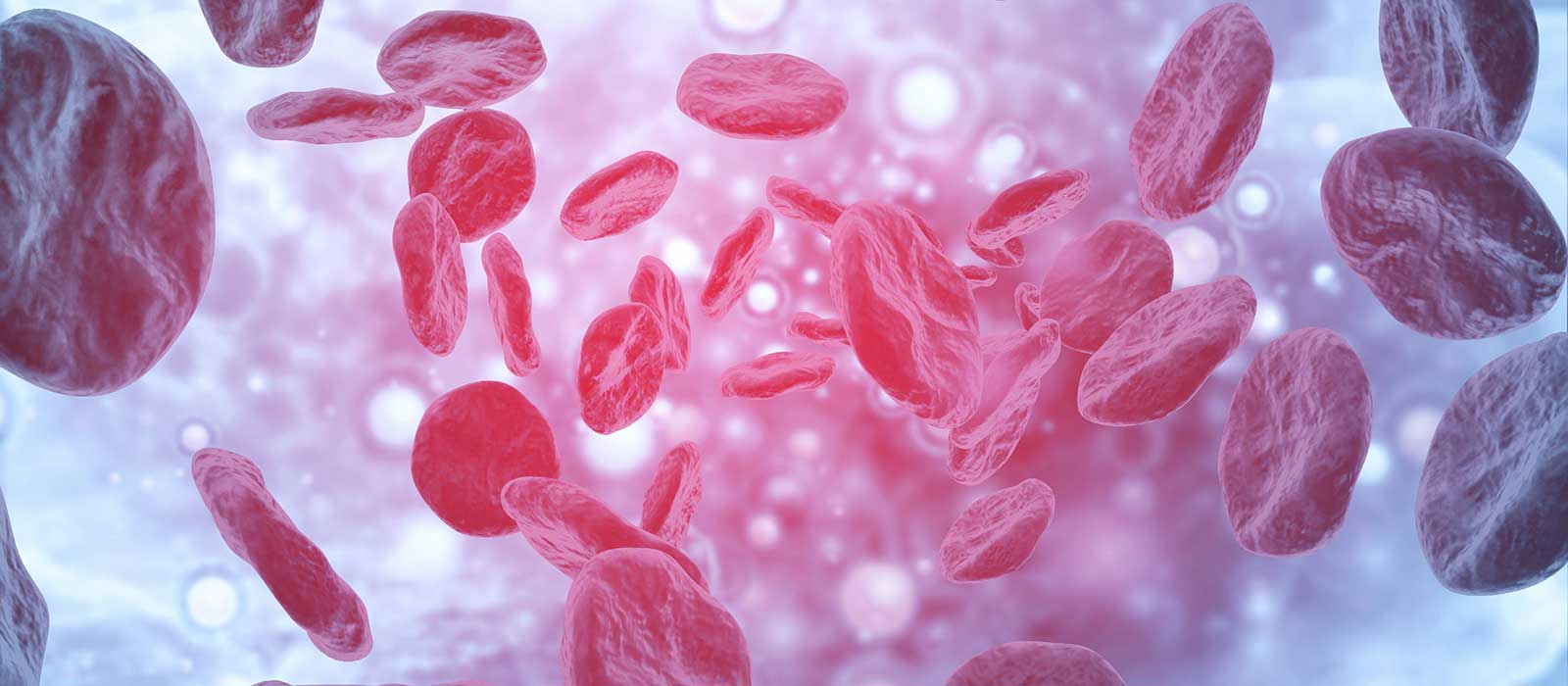 Blood cells on scientific background