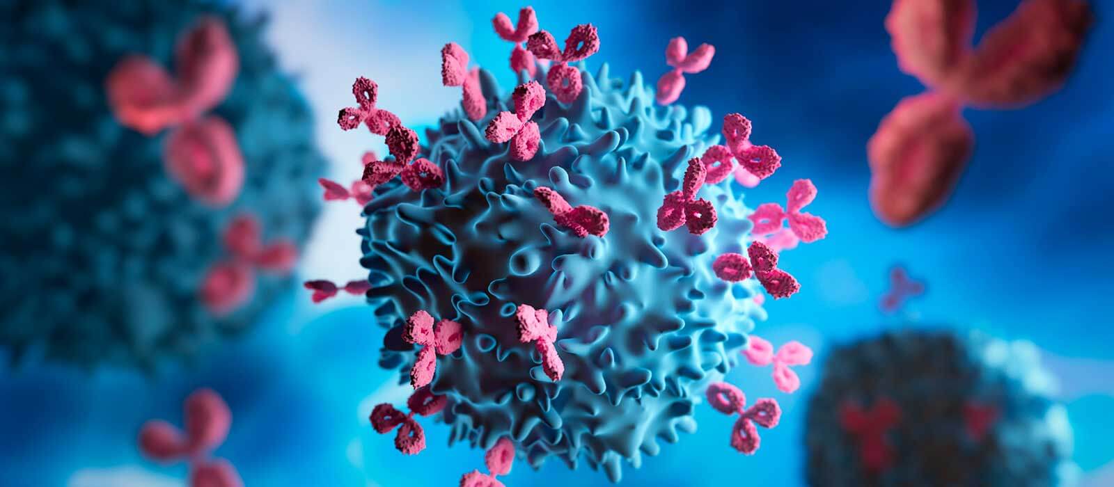 Antibodies and Cancer Cell