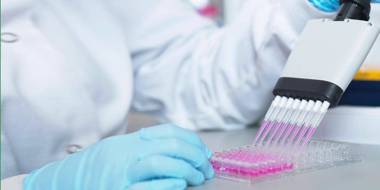 Scientist using multi-channel pipette