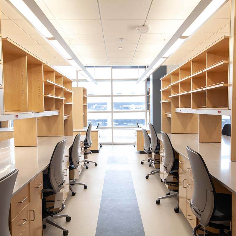 wet lab for basic science