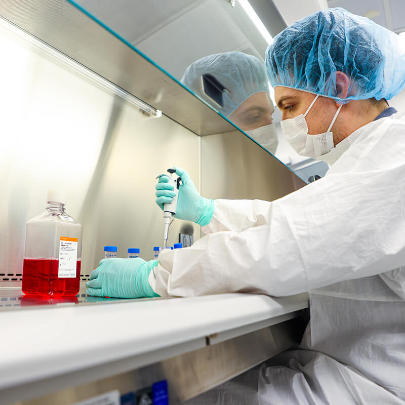 cells being produced to go in for human clinical trials