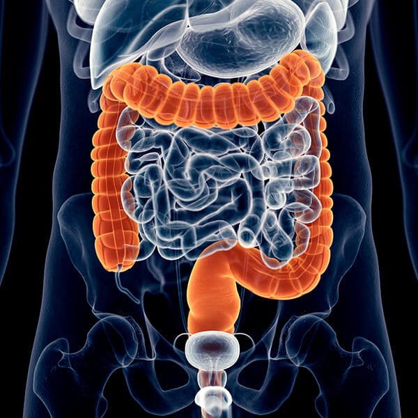 gastrointestinal conditions