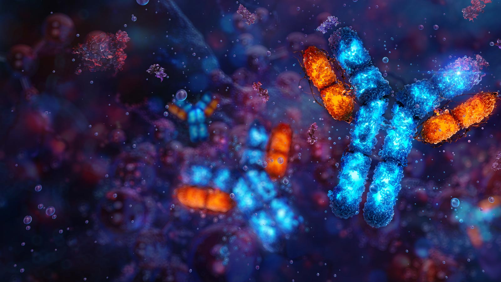 Antigen–antibody binding
