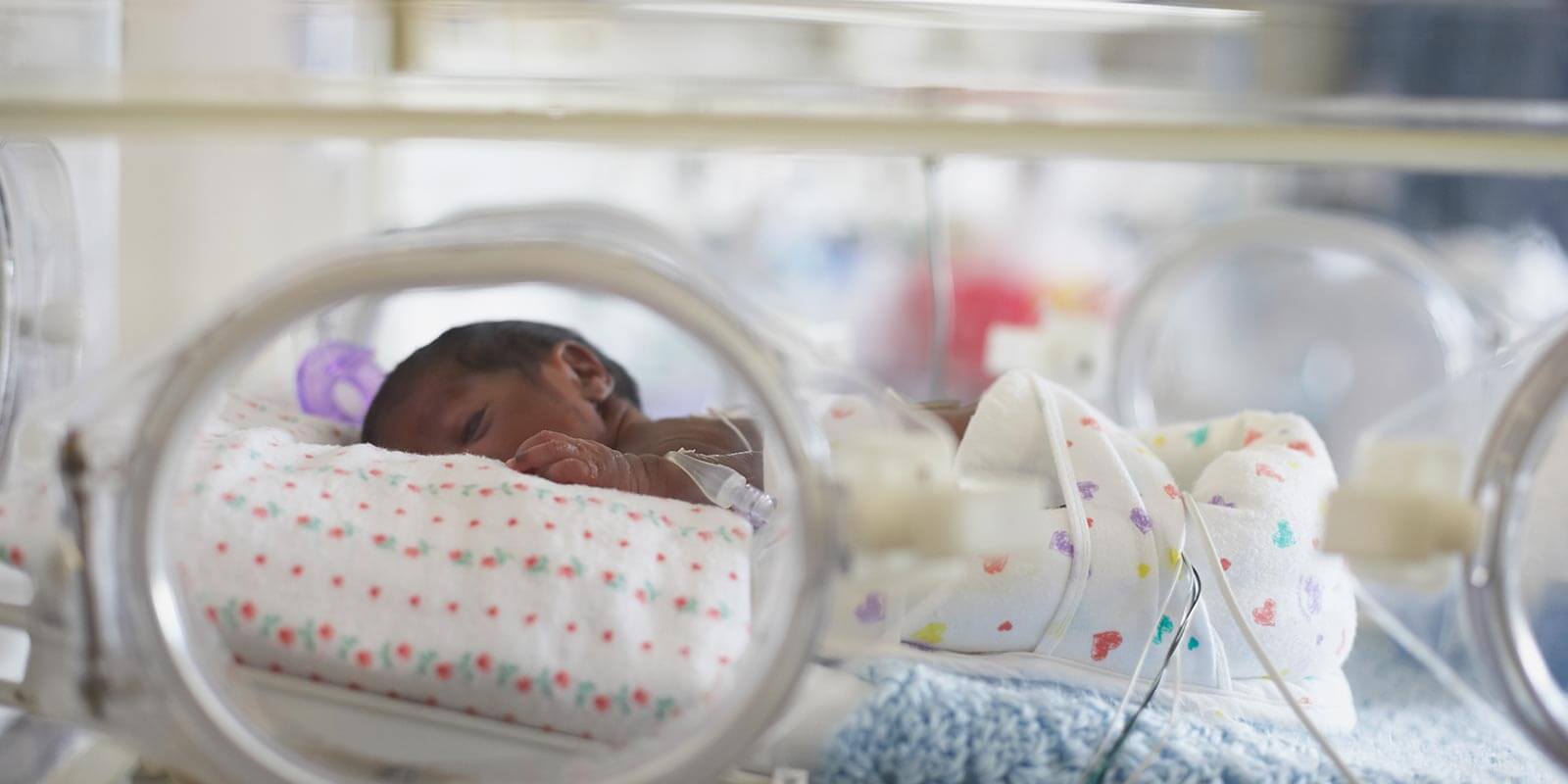 african american premie