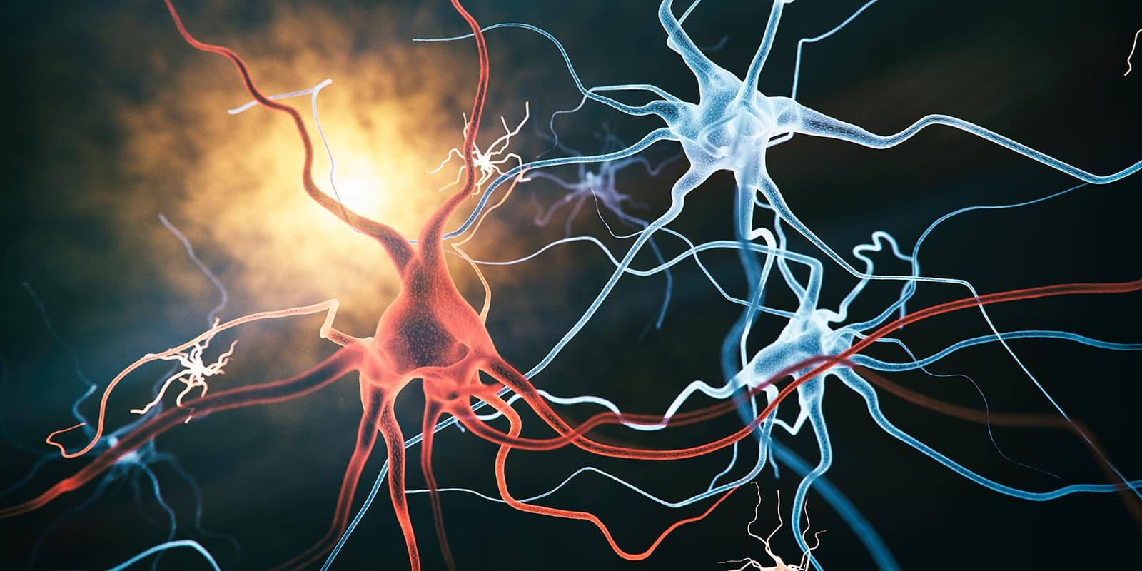 Neurons and Microglia