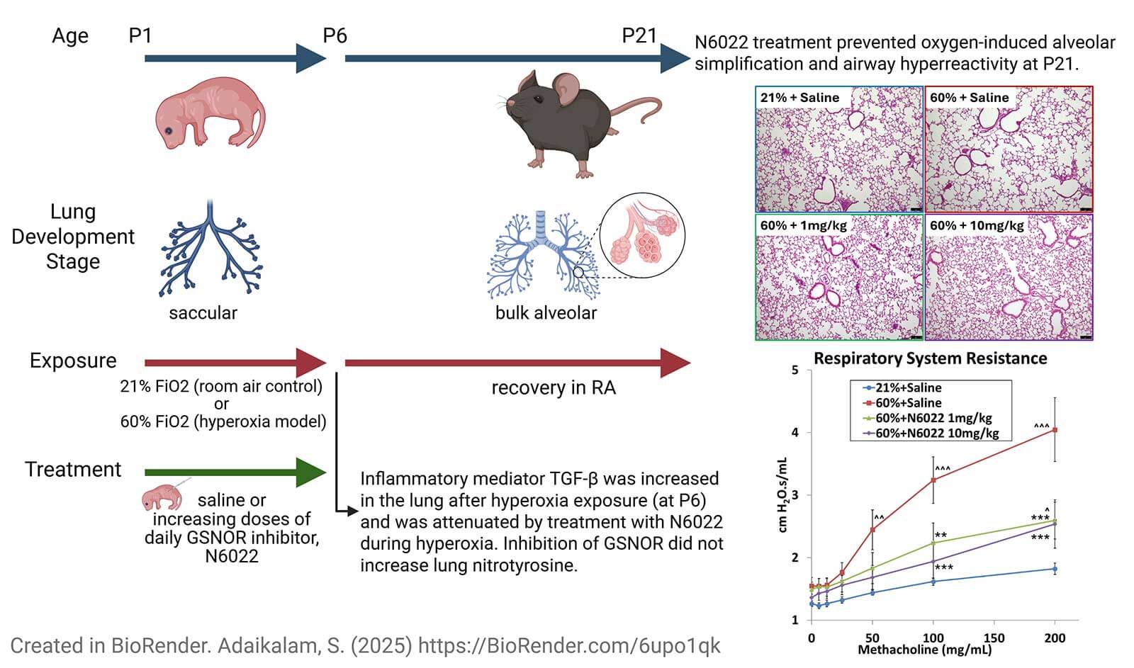 GSNOR Inhibitor study