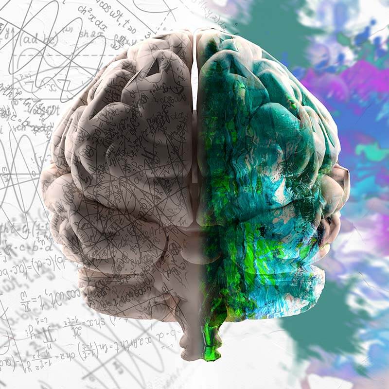 brain showing analytical information