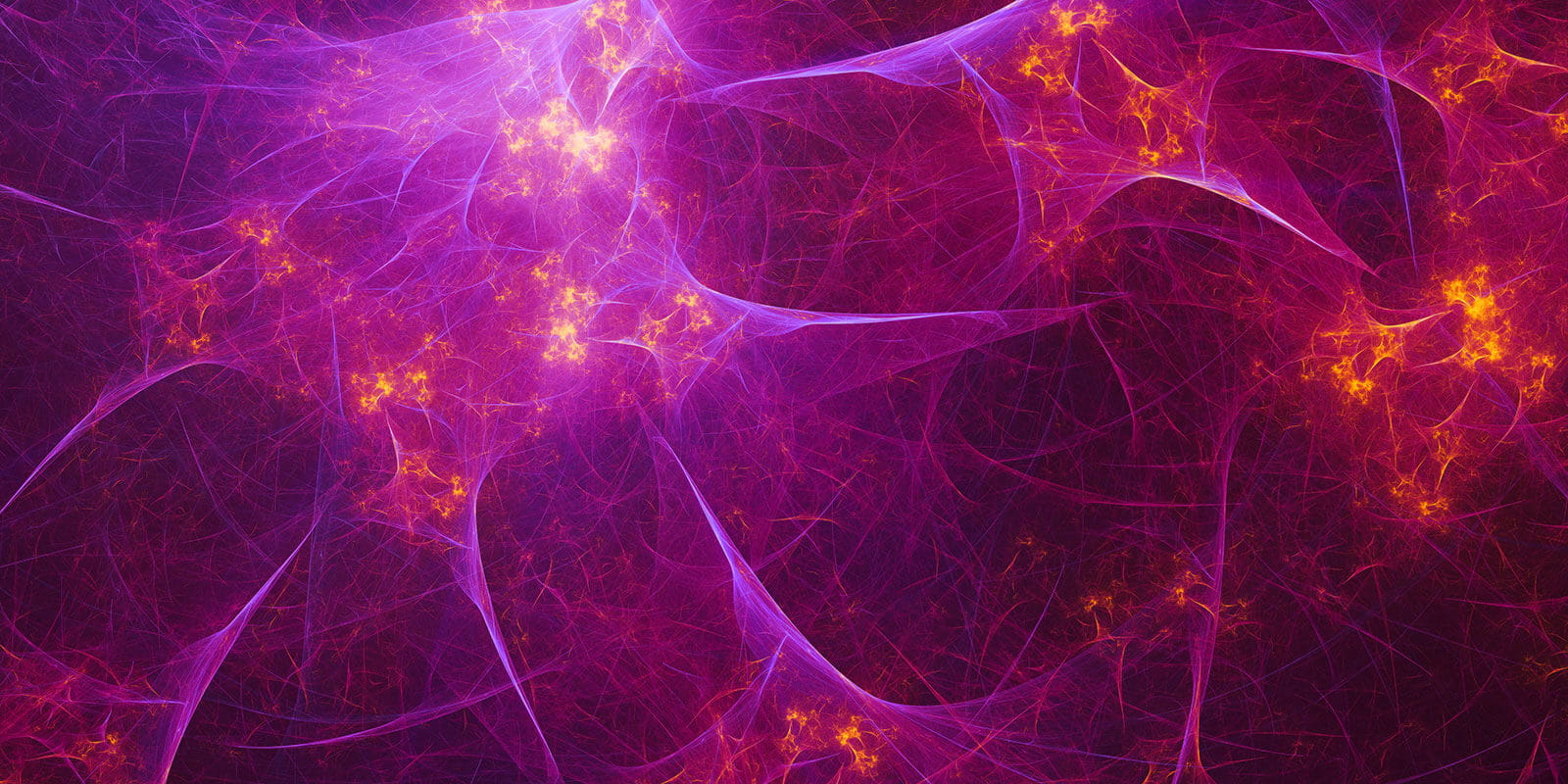 neural network or the nervous system