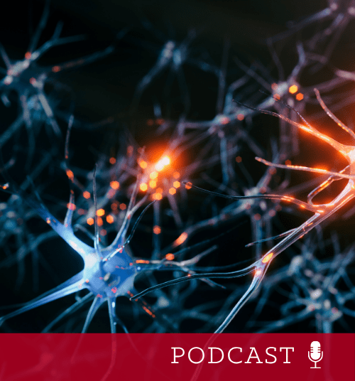 neurons