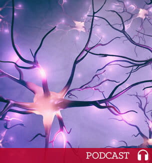 Visualization of neurons and neural network with signals