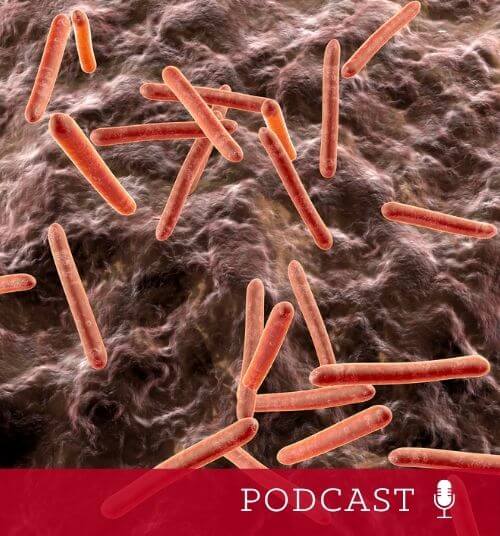  Tuberculosis bacteria in an organism