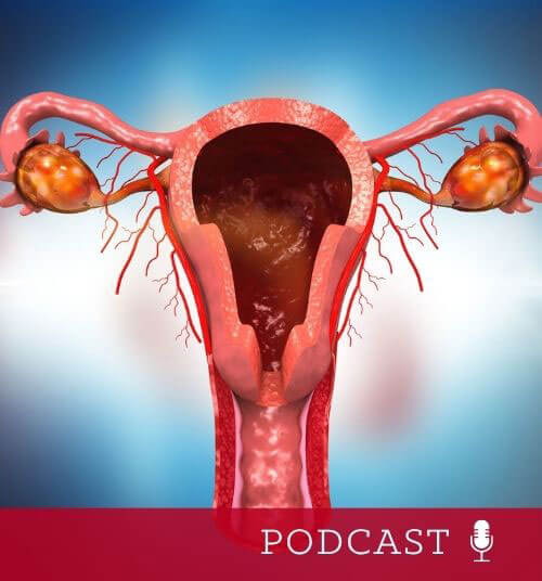 illustration of the uterus