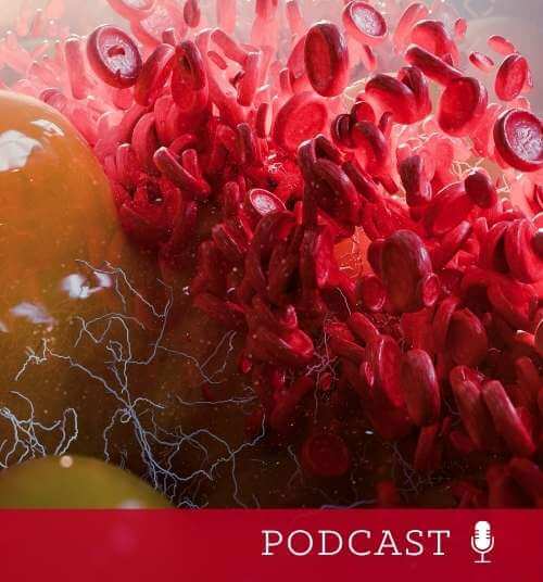 Fat cells, adipocyte and lipocyte, cholesterol in a cells