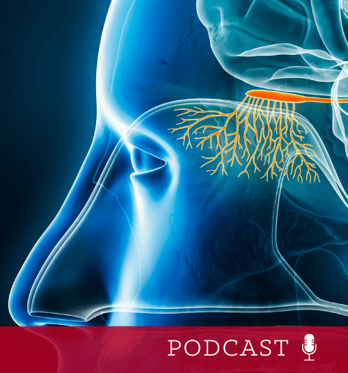 nose and olfactory system