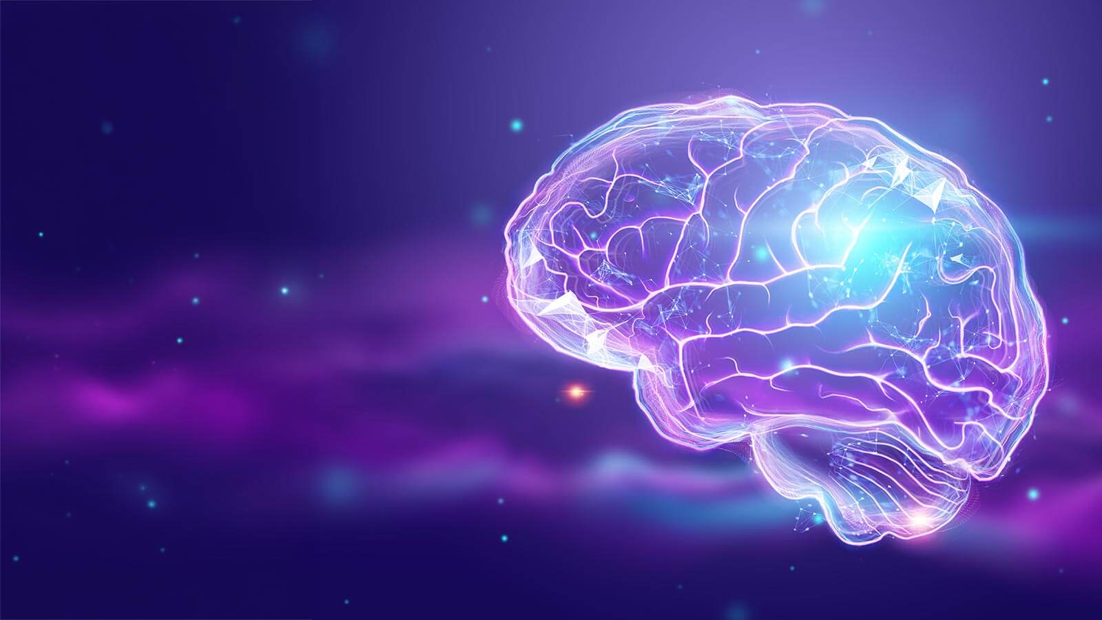 brain neural networks