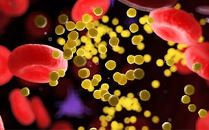 Cholesterol Guidelines Are Changing: Here’s What’s New