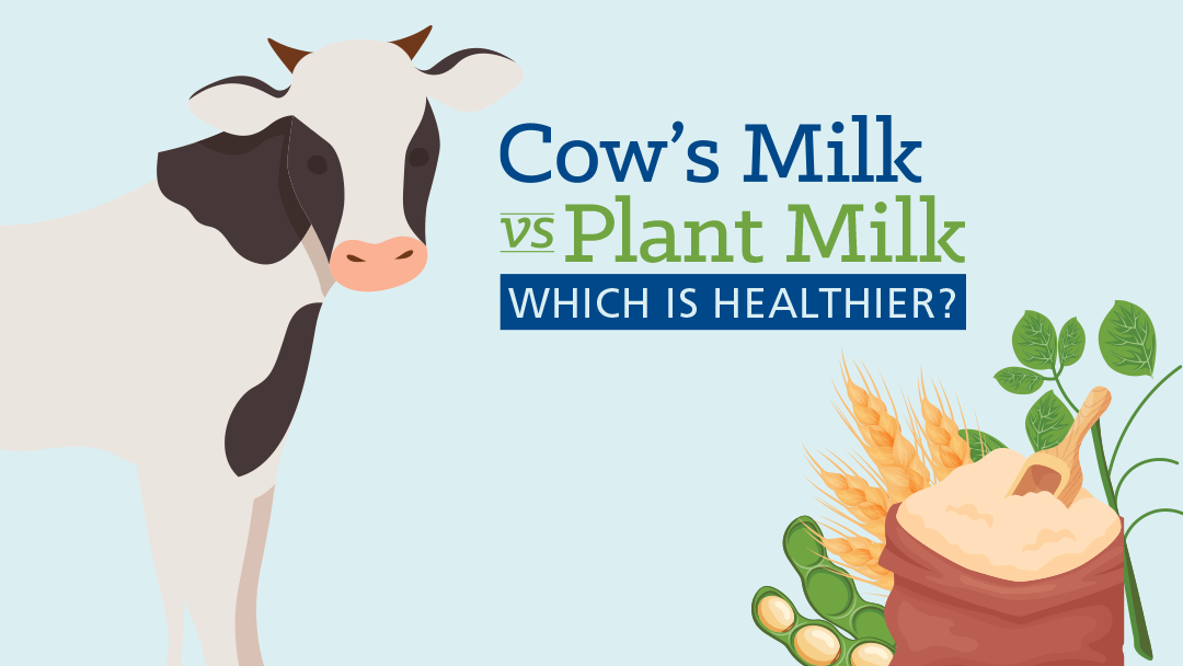 Cow's Milk vs. Plant Milk: Which Is Healthier? | University Hospitals