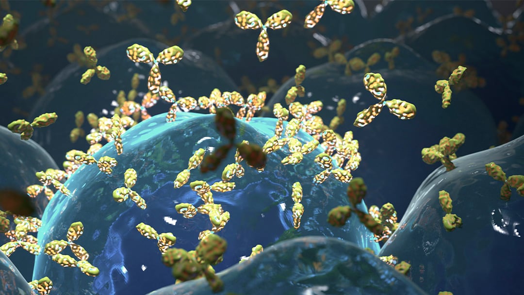 A New Era of Protection Against RSV Is Here University Hospitals